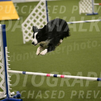Red-Bull-Mark-Paskawych-09716