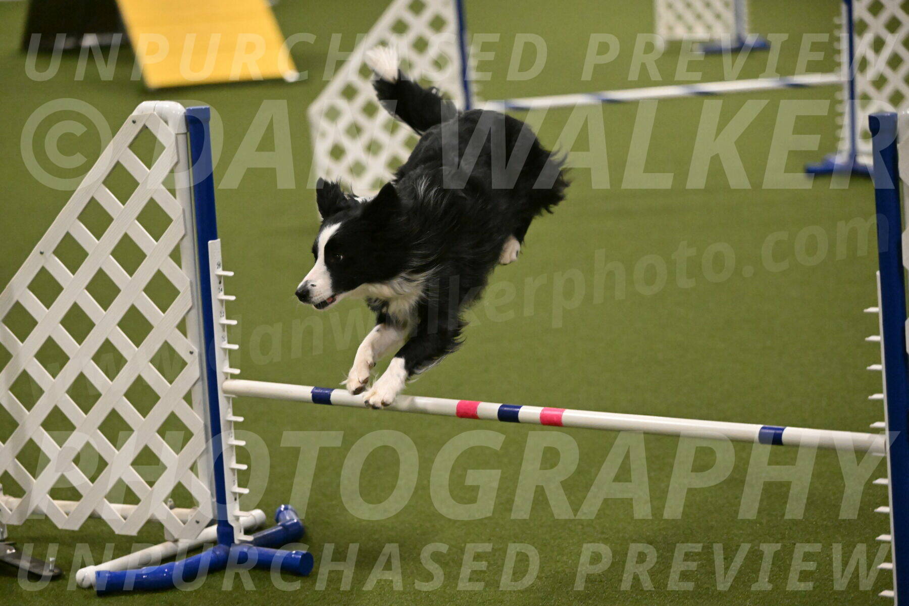 Red-Bull-Mark-Paskawych-09717