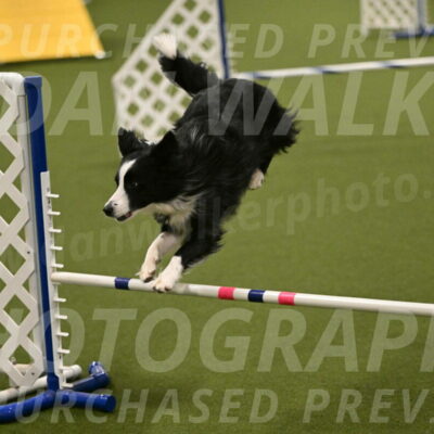 Red-Bull-Mark-Paskawych-09717