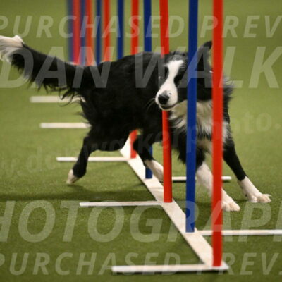 Red-Bull-Mark-Paskawych-09718