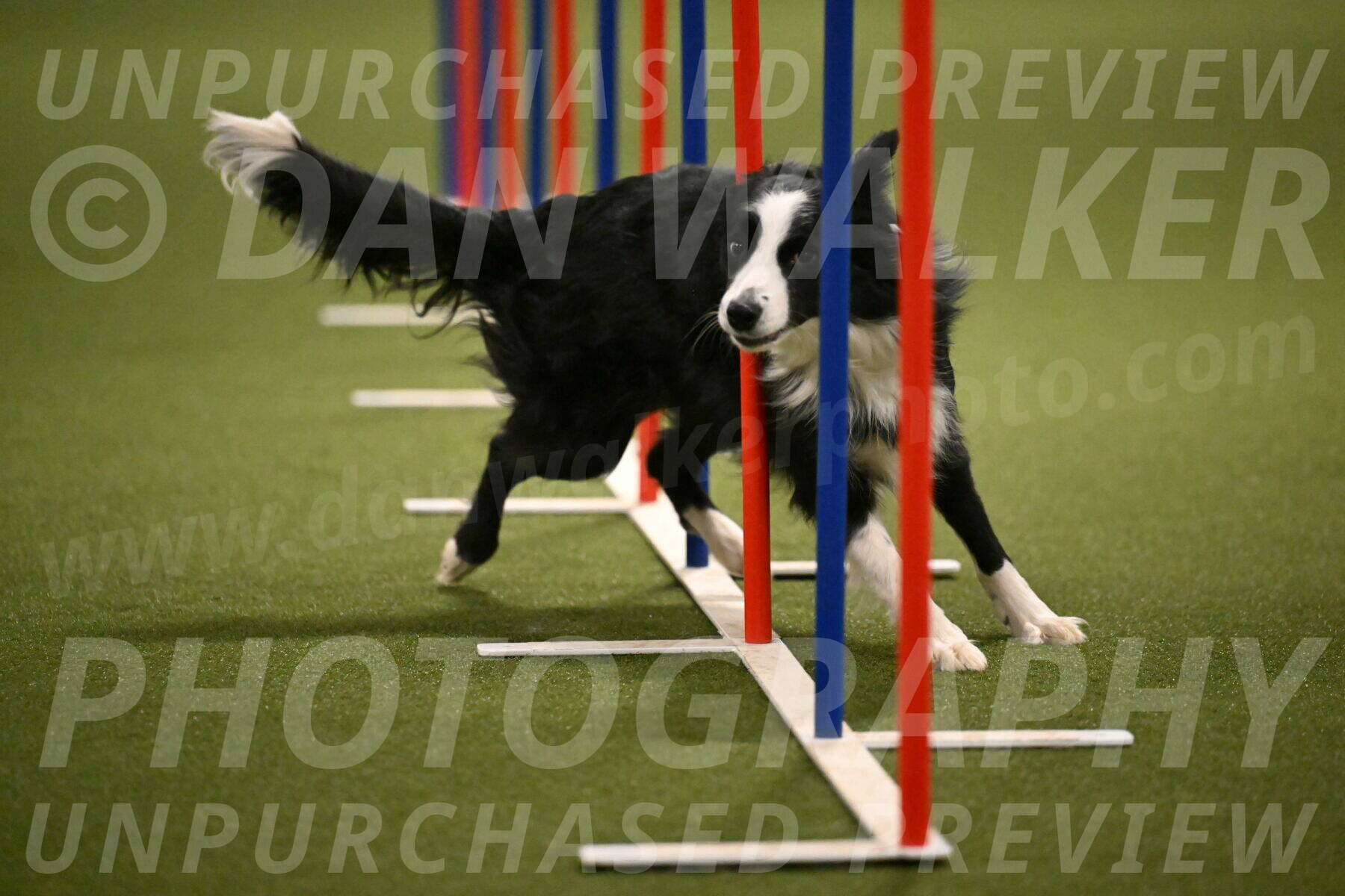 Red-Bull-Mark-Paskawych-09718