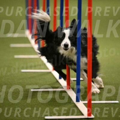 Red-Bull-Mark-Paskawych-09719