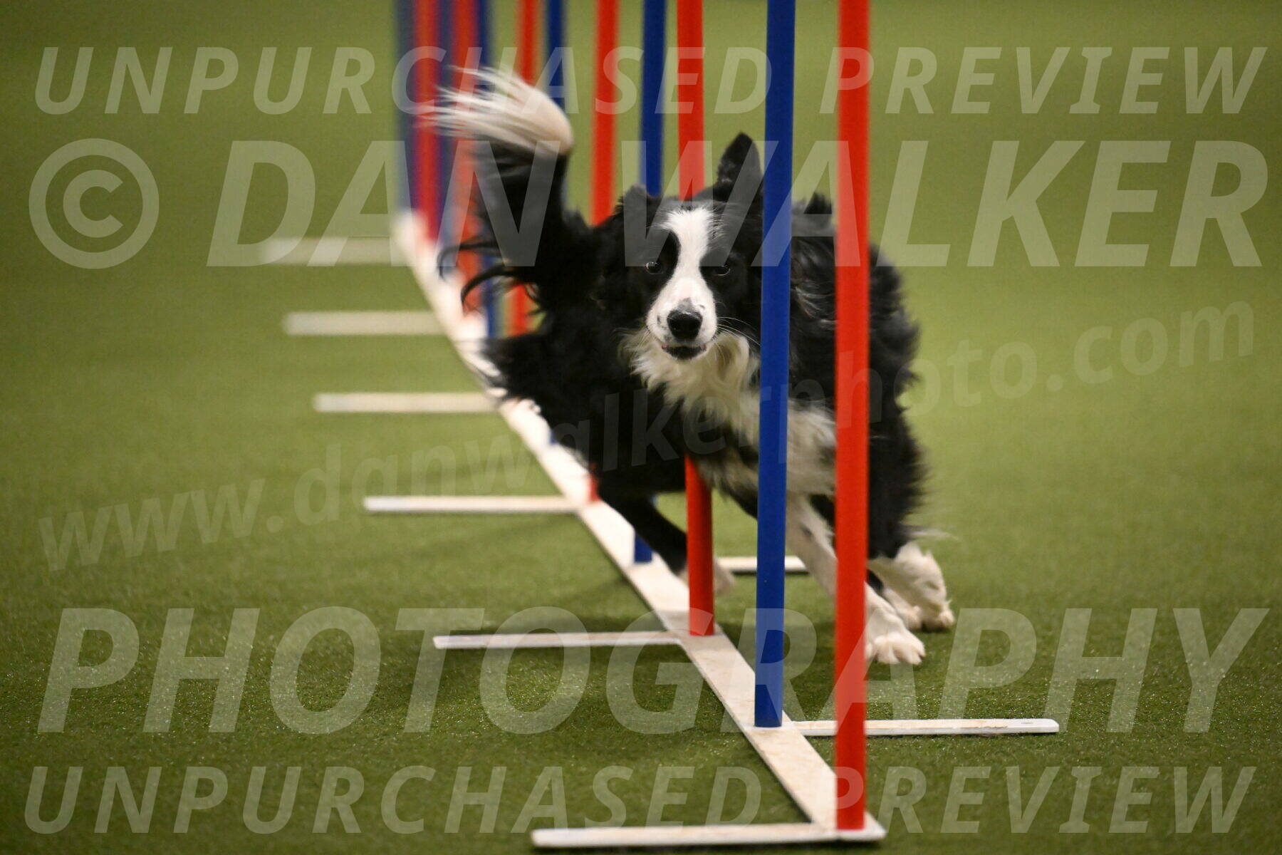 Red-Bull-Mark-Paskawych-09719