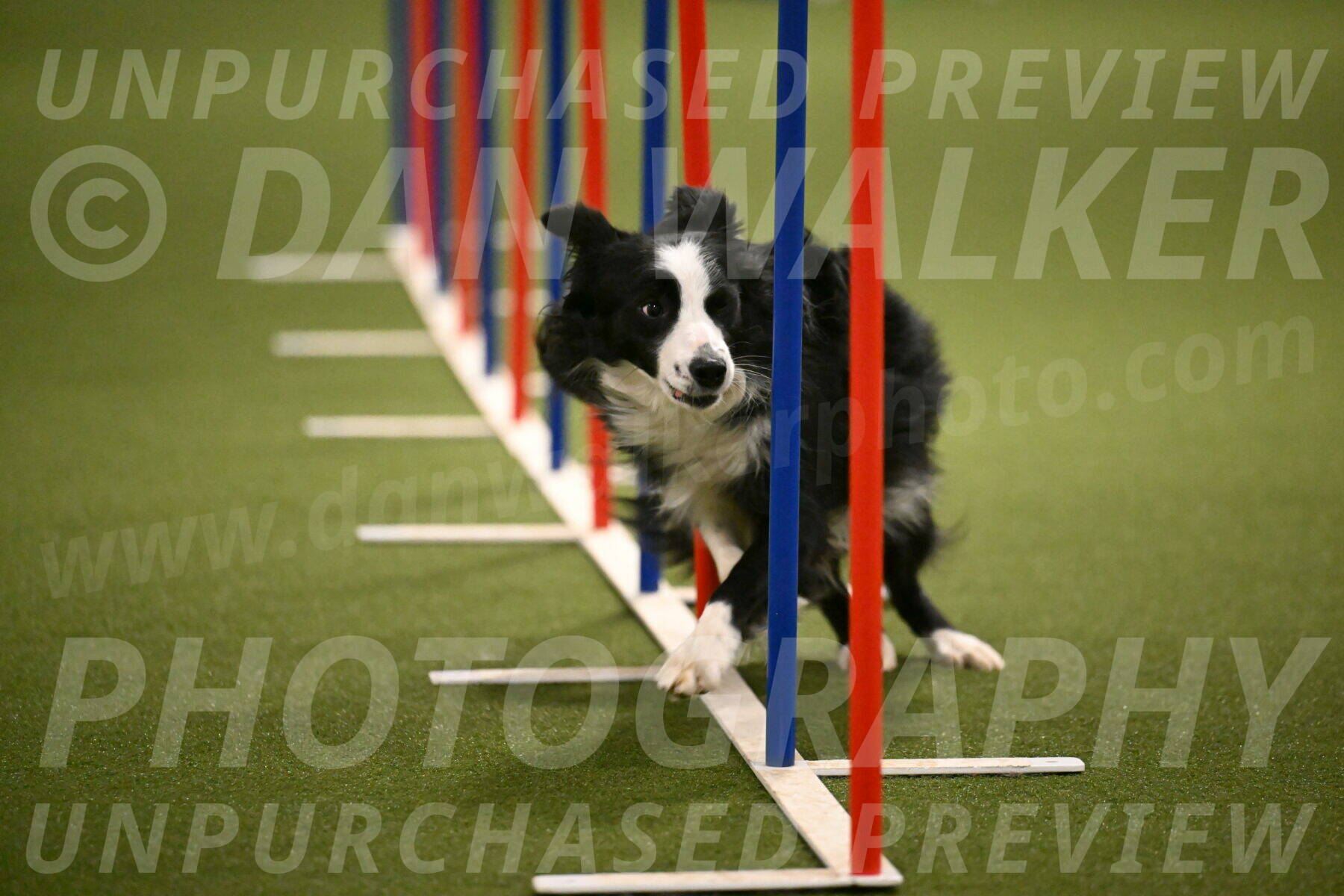 Red-Bull-Mark-Paskawych-09720