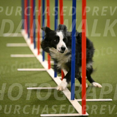 Red-Bull-Mark-Paskawych-09720