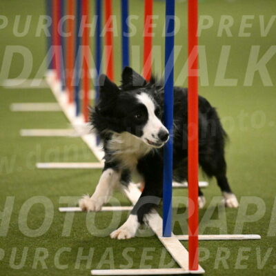 Red-Bull-Mark-Paskawych-09721