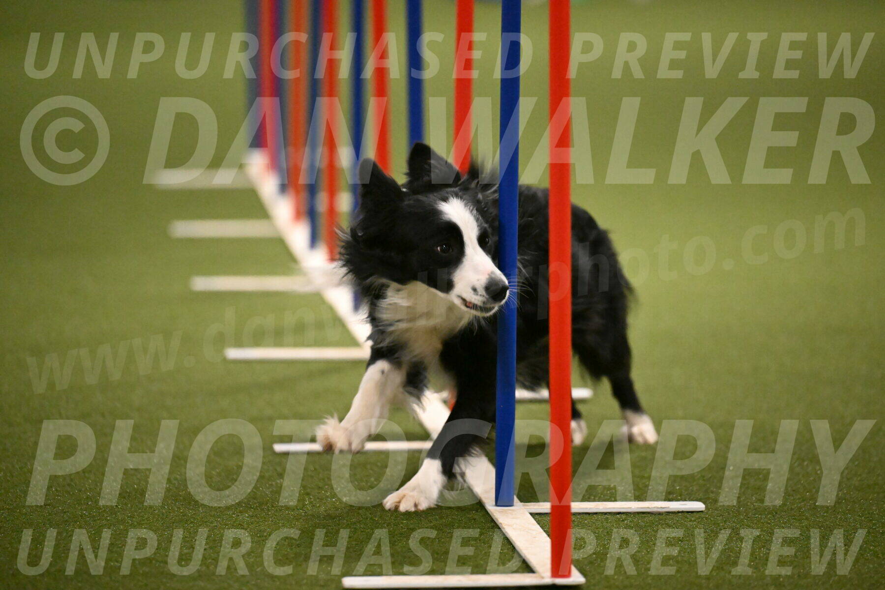 Red-Bull-Mark-Paskawych-09721