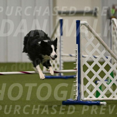 Red-Bull-Mark-Paskawych-09725