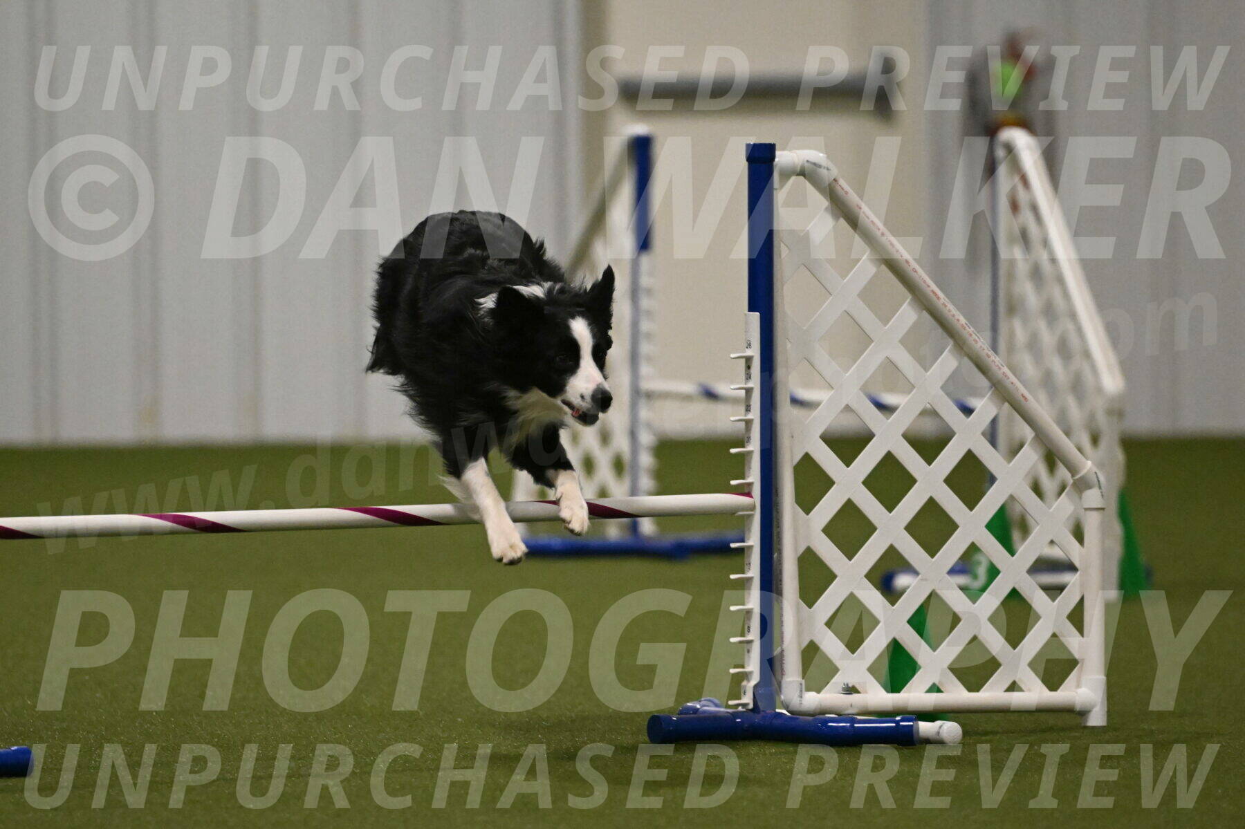Red-Bull-Mark-Paskawych-09725