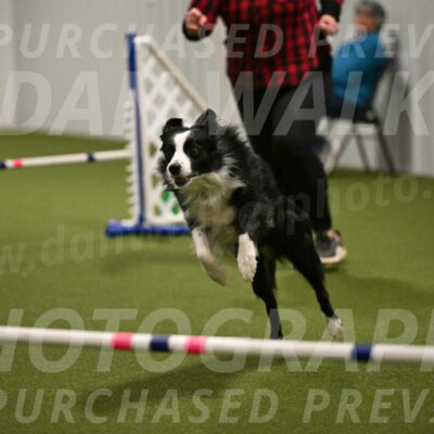 Red-Bull-Mark-Paskawych-09727