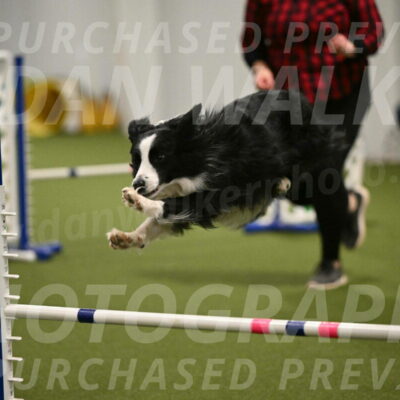 Red-Bull-Mark-Paskawych-09731