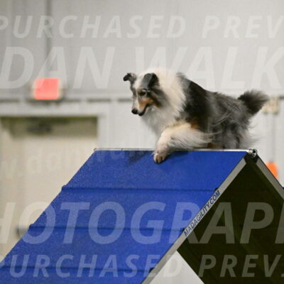 Ruffiann-Anne-Ujczo-01436