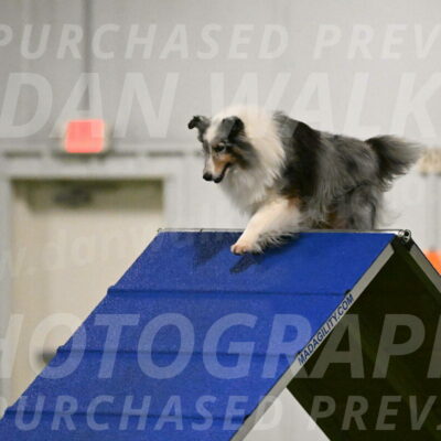 Ruffiann-Anne-Ujczo-01437