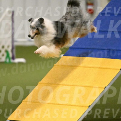 Ruffiann-Anne-Ujczo-01438