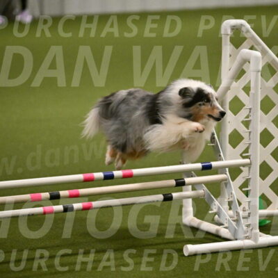 Ruffiann-Anne-Ujczo-01439