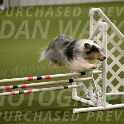 Ruffiann-Anne-Ujczo-01440