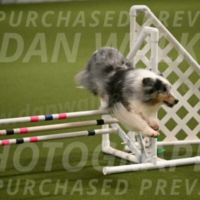 Ruffiann-Anne-Ujczo-01441