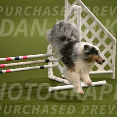 Ruffiann-Anne-Ujczo-01442