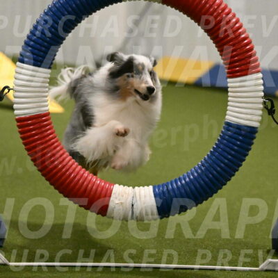 Ruffiann-Anne-Ujczo-01443