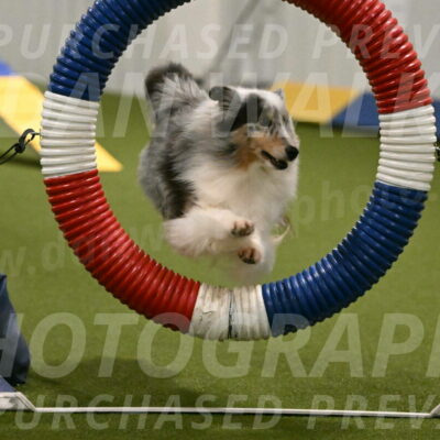 Ruffiann-Anne-Ujczo-01444