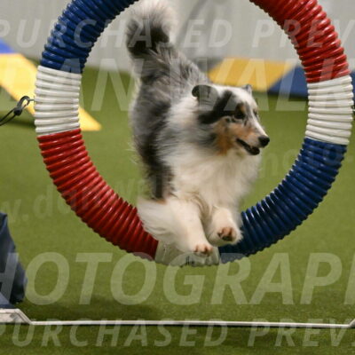 Ruffiann-Anne-Ujczo-01445