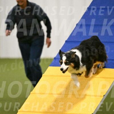 Ruffiann-Anne-Ujczo-01446