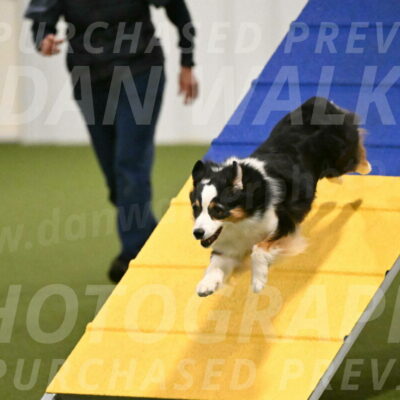 Ruffiann-Anne-Ujczo-01447