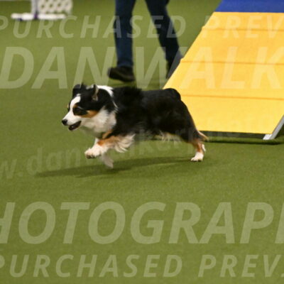 Ruffiann-Anne-Ujczo-01448