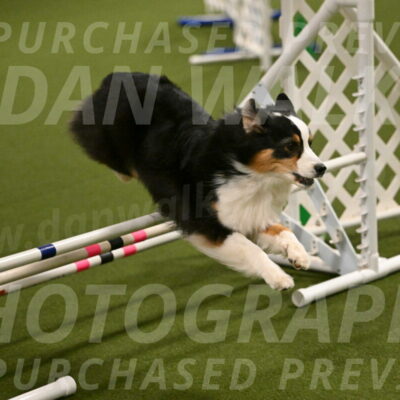 Ruffiann-Anne-Ujczo-01449