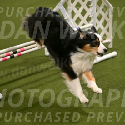 Ruffiann-Anne-Ujczo-01450