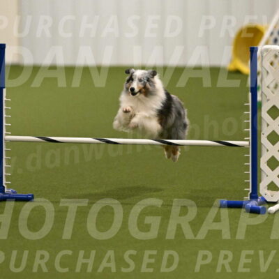 Ruffiann-Anne-Ujczo-01451