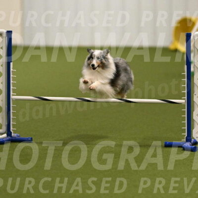 Ruffiann-Anne-Ujczo-01452