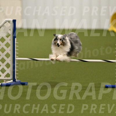 Ruffiann-Anne-Ujczo-01453