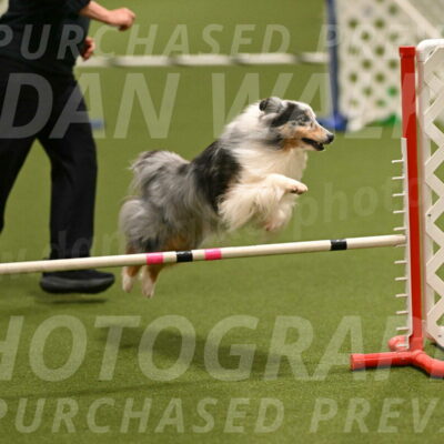 Ruffiann-Anne-Ujczo-01454