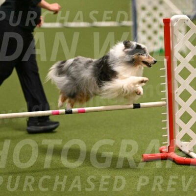 Ruffiann-Anne-Ujczo-01455