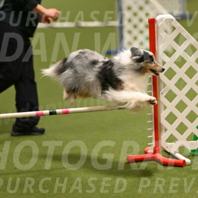 Ruffiann-Anne-Ujczo-01456