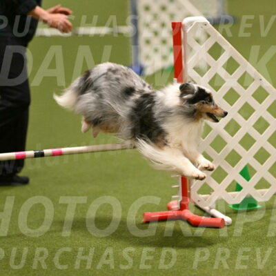 Ruffiann-Anne-Ujczo-01457