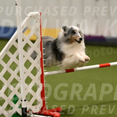 Ruffiann-Anne-Ujczo-01458