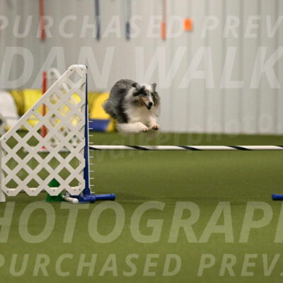 Ruffiann-Anne-Ujczo-01459