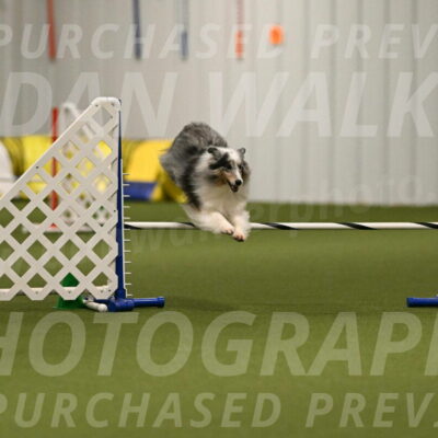 Ruffiann-Anne-Ujczo-01460