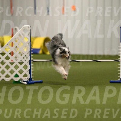 Ruffiann-Anne-Ujczo-01461