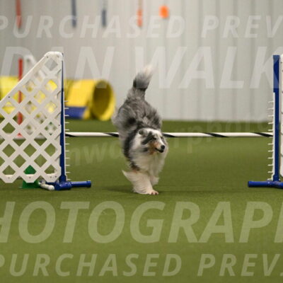 Ruffiann-Anne-Ujczo-01462