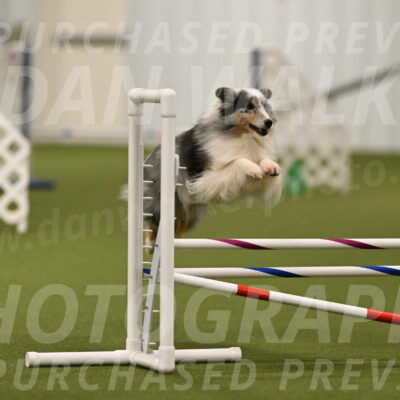 Ruffiann-Anne-Ujczo-01463