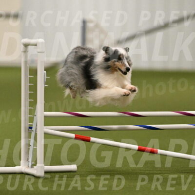 Ruffiann-Anne-Ujczo-01464