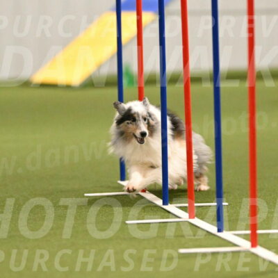 Ruffiann-Anne-Ujczo-01465