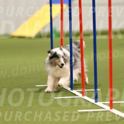 Ruffiann-Anne-Ujczo-01466