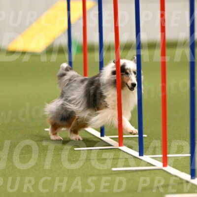 Ruffiann-Anne-Ujczo-01467