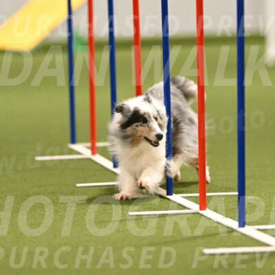 Ruffiann-Anne-Ujczo-01468