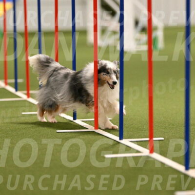 Ruffiann-Anne-Ujczo-01469