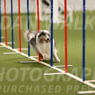 Ruffiann-Anne-Ujczo-01470